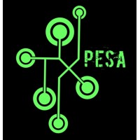 Pesa Token logo - Similar company to Durrafx