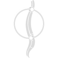 Chiropractie Blaauw logo - Similar company to Inner Mind Center
