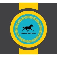 Nomad Astana logo - Similar company to Insight Circuit