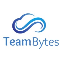 TeamBytes logo - Similar company to Wiseapp Works