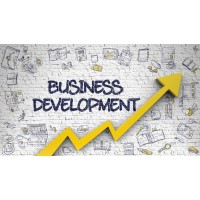 Business development platform logo - Similar company to Business Development Solutions