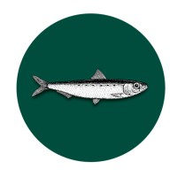 Sardine Agencies Ltd