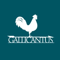 Gallicantus