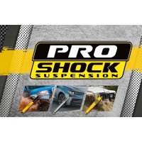 Proshock Suspensions logo - Similar company to Proshock