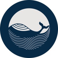 Rising Tide logo - Similar company to Teameq