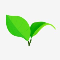 Matcha Ventures logo - Similar company to Takes Inc.