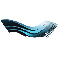 Pygmée Consulting logo - Similar company to Nadari