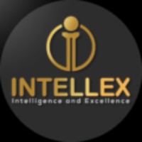 IntellexCFO.com logo - Similar company to Intellex Consulting ( Intellex Strategic Consulting Private Limited)