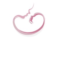 Saint Lazar Hospital logo - Similar company to Медицински Инвитро Център Неовитро/Neovitro-Ivf