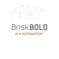 BriskBold AI & Automation logo - Similar company to Marina Technologies