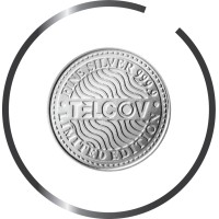 Telcov logo - Similar company to Dhivehigpt