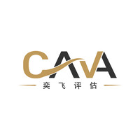 China Aviation Valuation Advisors (CAVA) logo - Similar company to V1 Business Aviation Fintech