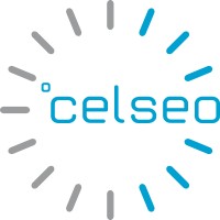Celseo Service GmbH logo - Similar company to Brüning Gmbh