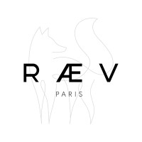 RAEV logo - Similar company to Tekyn