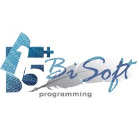 Bisoft Ltd Software Company Software Business