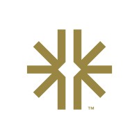 Pavion logo - Similar company to Applied Global Technologies (AGT)