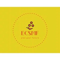 ECSMF.COM logo - Similar company to Finance With Professionals