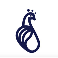 Simona Ventures logo - Similar company to Digitaraya