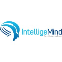 Intelligemind
