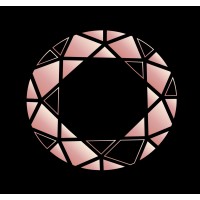 The Best Version Club logo - Similar company to Ukrainian-European Business Hub