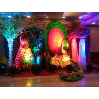 The Party House - NCR Event Planner logo - Similar company to Affection India - Proposal & Romantic Event Planner