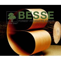 Besse Forest Products Group - A Hoffmann Family Company logo - Similar company to Kuntzsch Solutions