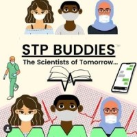 STP Buddies Network logo - Similar company to Stpperspectives