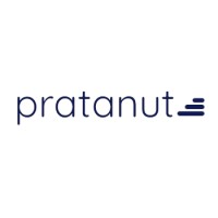 Pratanute Technologies LLP logo - Similar company to Q Dev Digital