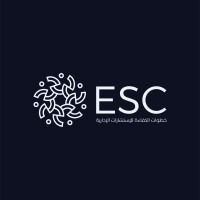 Efficiency Steps Consultancy logo - Similar company to Cse Cloud Services