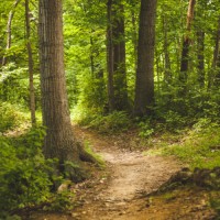 Clear Path Consulting, LLC logo - Similar company to Clear Path