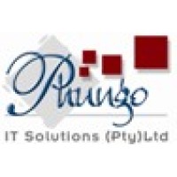 Phungo ICT Solutions (PTY)Ltd logo - Similar company to Inclusion Works Consulting