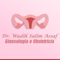 Clínica de Ginecologia e Obstetrícia - Dr. Wadih Salim Assaf logo - Similar company to Studygame