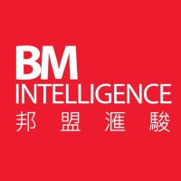 BM Intelligence Group logo - Similar company to Fores Ventures
