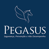 Pegasus Sistemas Ltda logo - Similar company to Ct Metal Indústria E Comercio Ltda.
