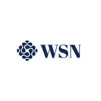 WSN logo - Similar company to Wsn It Consulting