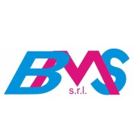 B.M.S. Costruzione stampi S.r.l. logo - Similar company to Wemech S.R.L.