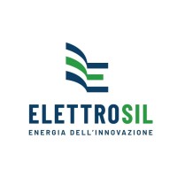 ELETTROSIL logo - Similar company to INGEP LTD