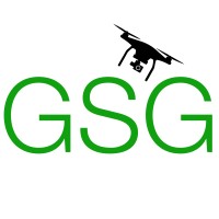 Green Sky Group logo - Similar company to Reālprojekts