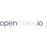 Openindex logo - Similar company to Cynayd Solutions