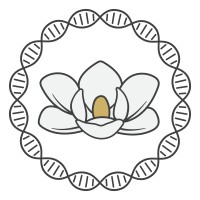 Mississippi INBRE logo - Similar company to Data Science @ Mississippi State University