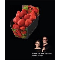 Westlandse Aardbei logo - Similar company to Diosa Fruit