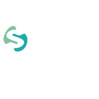 Skybage, Llc