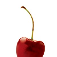 Cherry_Med Medical Solutions logo - Similar company to Handle Medical