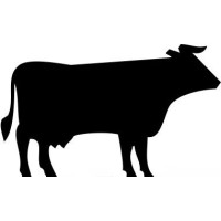 Black Jersey Consulting logo - Similar company to Bobats Wealth Solutions