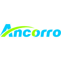 ANCORRO logo - Similar company to Ist-Platform  Group