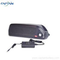 Hailong Case electric bike 24v 36v 48v li-ion battery logo - Similar company to Neal Lau