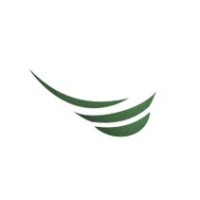 Lightbulb Capital logo - Similar company to Nesiva