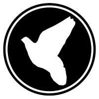 Calvary Chapel Danville logo - Similar company to Blue Ridge Color Company