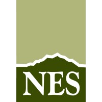 N.E.S. Inc logo - Similar company to Rmi Designs