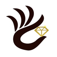 DC Jewelry Private Limited logo - Similar company to Vishv Trade